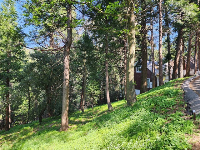 Detail Gallery Image 10 of 21 For 811 Deer Trl, Crestline,  CA 92325 - – Beds | – Baths