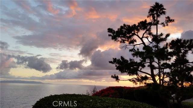 View of Catalina from PVBC Gym and Patio