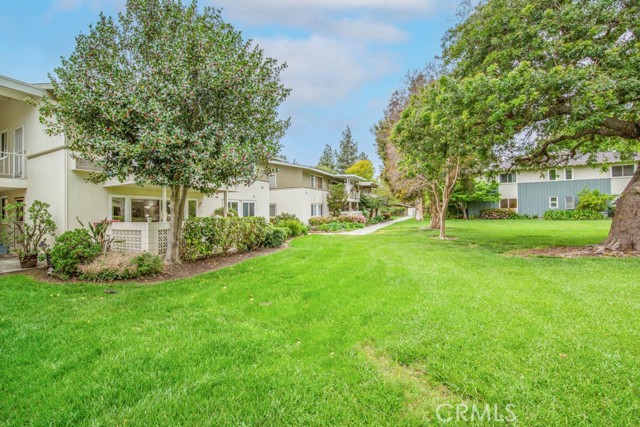 224 Avenida Majorca, Laguna Woods CA: https://media.crmls.org/medias/72fc3b99-f7ff-43c1-95c0-3a87e84e361e.jpg