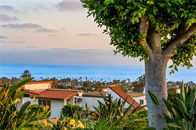 3736 Calle Casino, San Clemente CA: https://media.crmls.org/medias/7303ff3d-722e-4f0f-bce6-48cedd5b1991.jpg