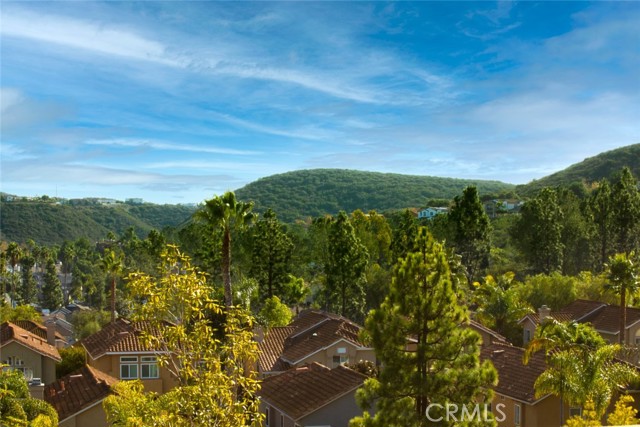 Detail Gallery Image 7 of 32 For 3139 Avenida Olmeda, Carlsbad,  CA 92009 - 2 Beds | 2 Baths
