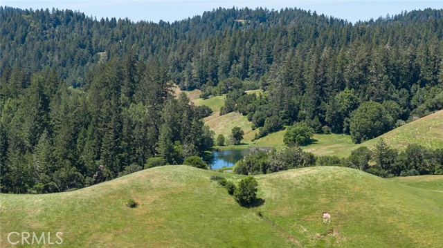 12760 Green Valley Road, Sebastopol CA: https://media.crmls.org/medias/7310421b-3e63-44c7-bcdf-bc67d37007c6.jpg