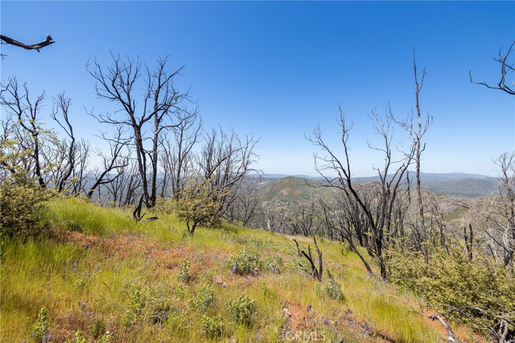 MLS #MP25088475 image #54