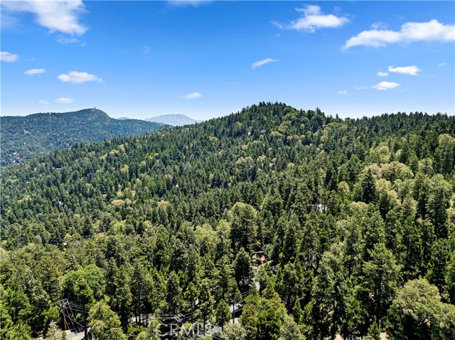 Detail Gallery Image 35 of 36 For 23746 Crest Forest, Crestline,  CA 92325 - 3 Beds | 2 Baths