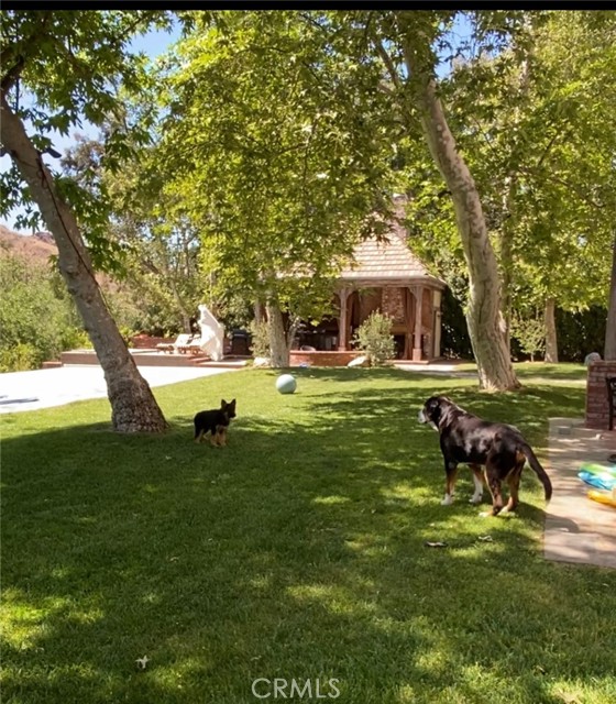 Detail Gallery Image 8 of 9 For 4119 Cornell Rd, Agoura Hills,  CA 91301 - 5 Beds | 6 Baths