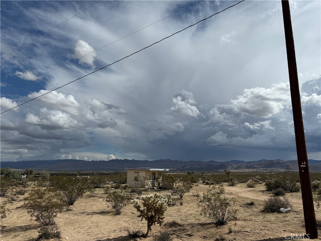 MLS #JT25227307 image #5