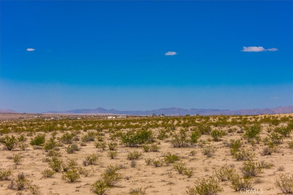 MLS #JT25263725 image #18