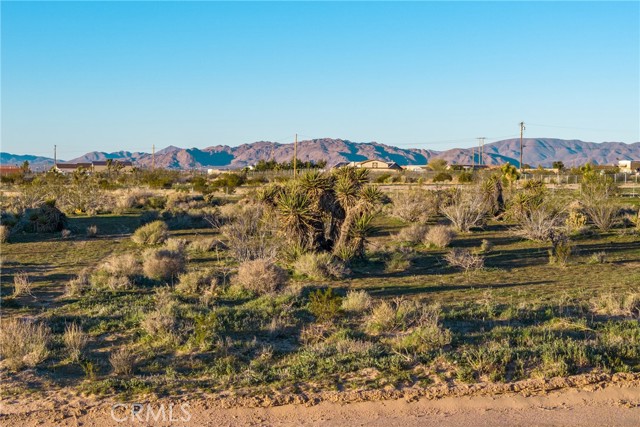 0 Moonbeam, Apple Valley CA: https://media.crmls.org/medias/73357f22-ea1f-486a-8c9c-1759fc3ffbde.jpg