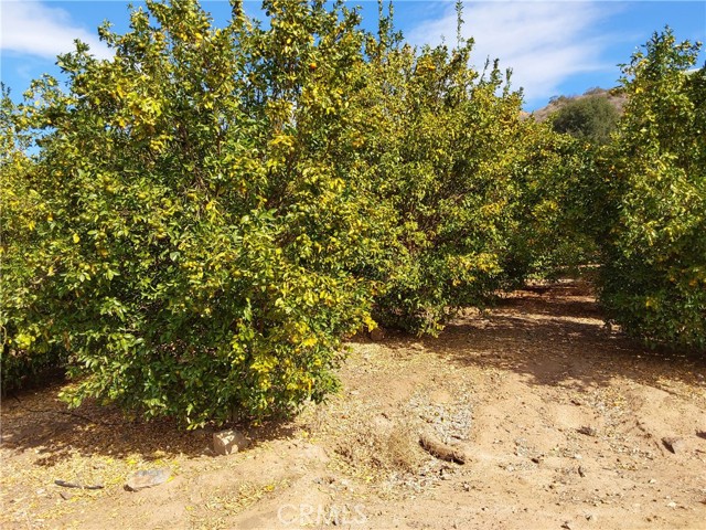 Detail Gallery Image 9 of 38 For 3 via Vaquero, Temecula,  CA 92590 - – Beds | – Baths