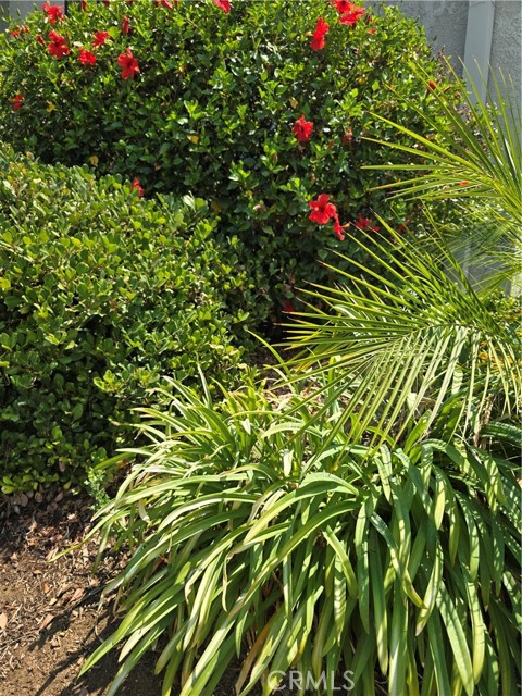 254 E Fern Avenue, Redlands CA: https://media.crmls.org/medias/733b9af5-36aa-4253-b3f8-7b35cd8ac93f.jpg