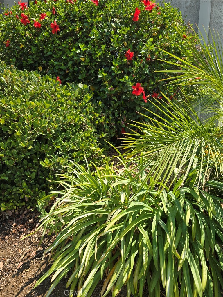 https://media.crmls.org/medias/733b9af5-36aa-4253-b3f8-7b35cd8ac93f.jpg?preset=X-Large