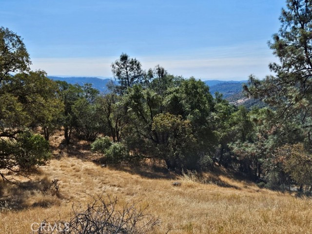 Detail Gallery Image 14 of 18 For 5640 Blue Oak Ridge Rd, Mariposa,  CA 95338 - – Beds | – Baths