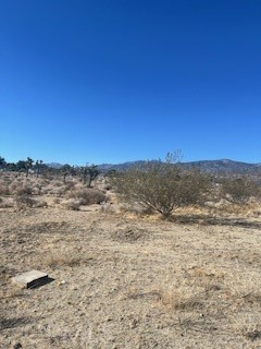 0 Pine Tree Road, Pinon Hills CA: https://media.crmls.org/medias/7343a4e0-64ed-4917-ba57-e30be9f3b8a1.jpg