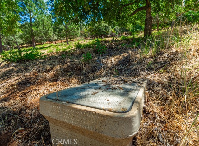 Detail Gallery Image 73 of 75 For 3126 Edgewood Drive, Kelseyville,  CA 95451 - – Beds | – Baths