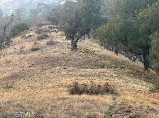 Detail Gallery Image 28 of 50 For 18266 Caliente Creek Rd, Caliente,  CA 93518 - 2 Beds | 2 Baths