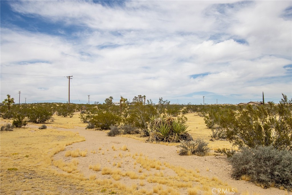 MLS #JT25261609 image #13