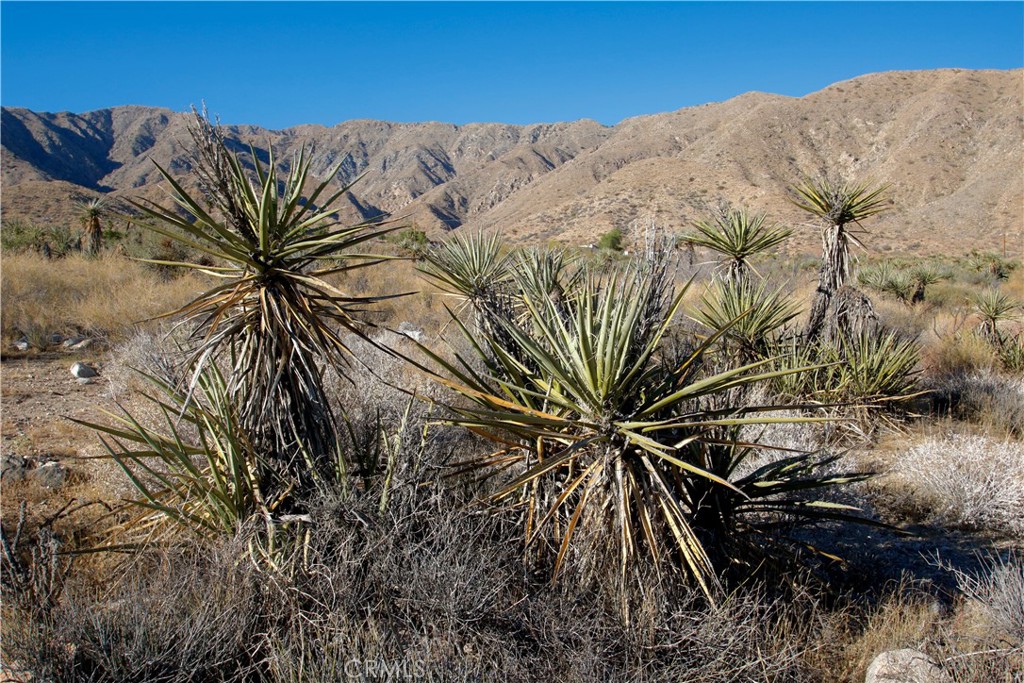 MLS #OC25240142 image #17