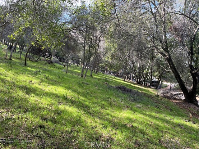 Detail Gallery Image 6 of 7 For 8452 Soda Bay Rd, Kelseyville,  CA 95451 - – Beds | – Baths