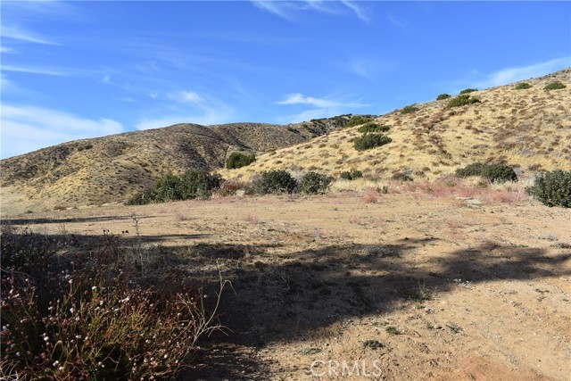 1 Vac/Cor Shallow Spring Rd/Cach Street, Leona Valley, California 93551, ,Land,For Sale,1 Vac/Cor Shallow Spring Rd/Cach Street,CRSR23208734