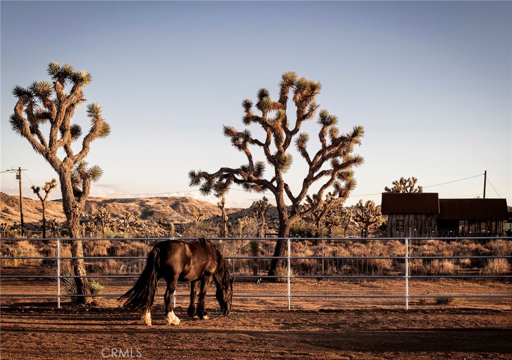 MLS #JT25252986 image #51