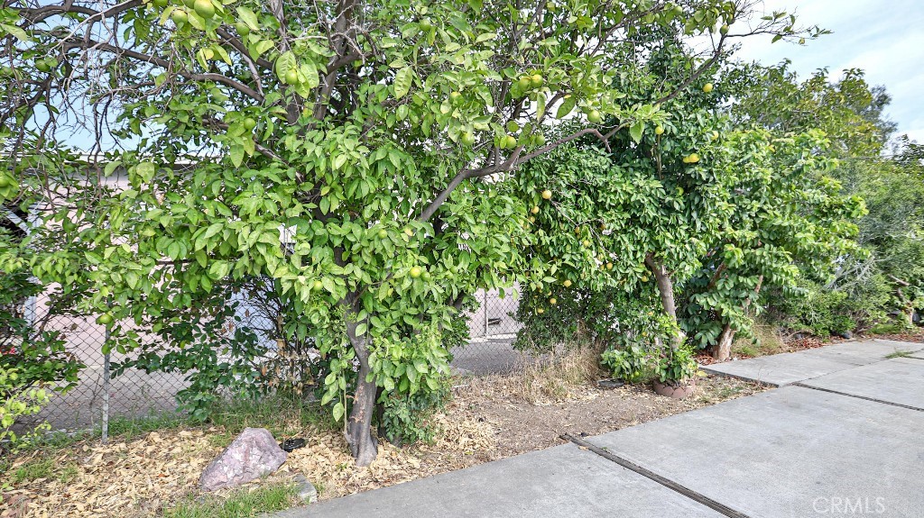 MLS #WS25253534 image #51