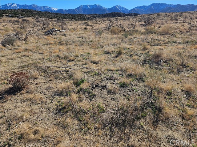 Detail Gallery Image 2 of 3 For 126 E Avenue Y4, Littlerock,  CA 93543 - – Beds | – Baths