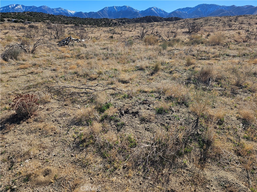 MLS #SR25266658 image #1