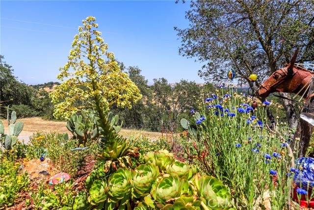 10755 Santa Ana Road, Atascadero CA: https://media.crmls.org/medias/736d3a3d-1937-4cd7-92f6-c8d27b4c89f2.jpg