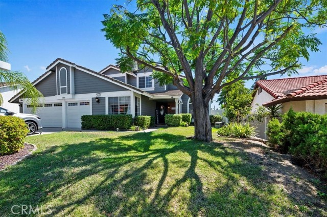 24309 Rimview Road, Moreno Valley CA: https://media.crmls.org/medias/73706d1b-d205-409d-b48b-f926a035f28f.jpg