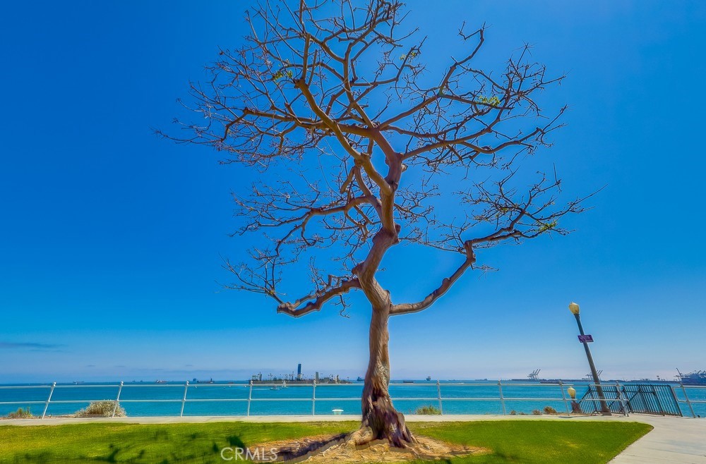 https://media.crmls.org/medias/73714715-eafc-4714-9a4e-149dffd9d70a.jpg?preset=X-Large