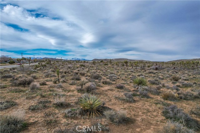 Detail Gallery Image 21 of 32 For 4824 Elata Ave, Yucca Valley,  CA 92284 - – Beds | – Baths