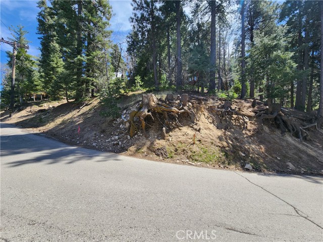 Detail Gallery Image 5 of 24 For 586 Rose, Twin Peaks,  CA 92391 - – Beds | – Baths