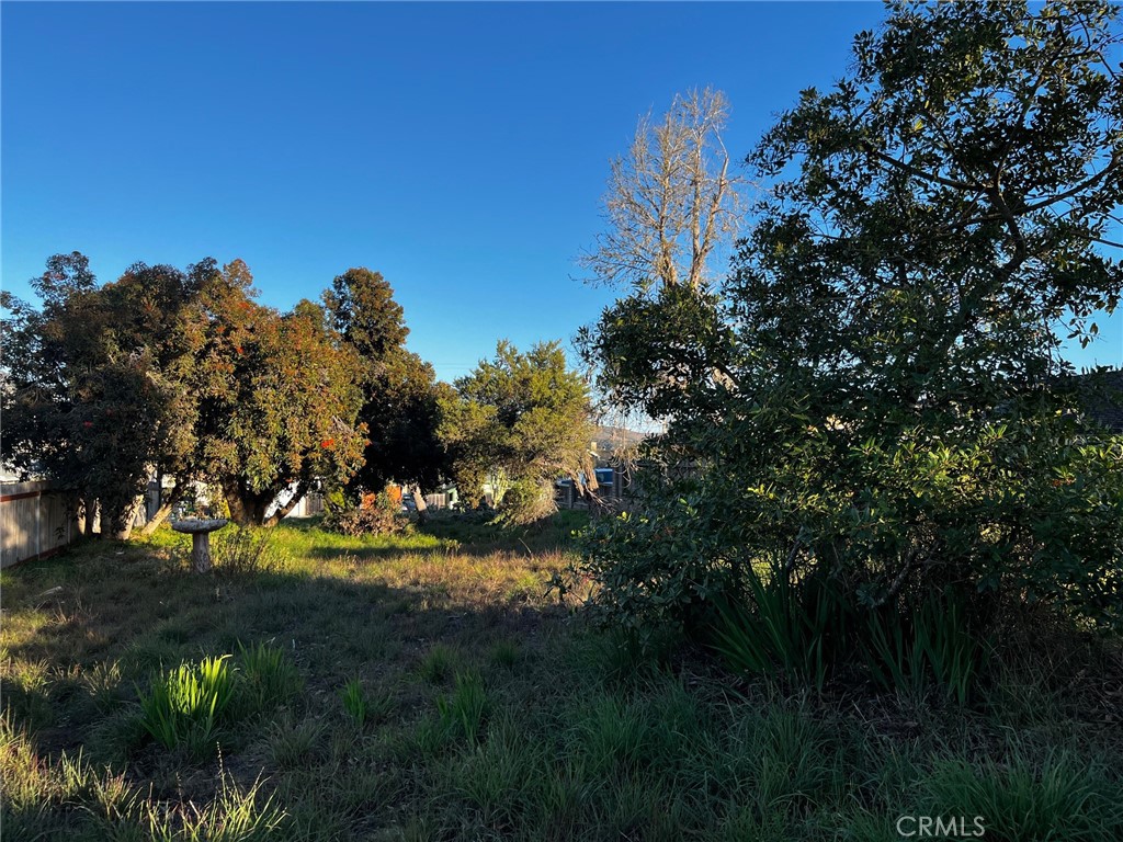 MLS #SC25022080 image #2