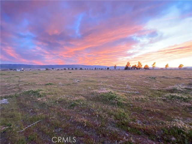 Detail Gallery Image 14 of 16 For 185 W Avenue F, Lancaster,  CA 93536 - – Beds | – Baths
