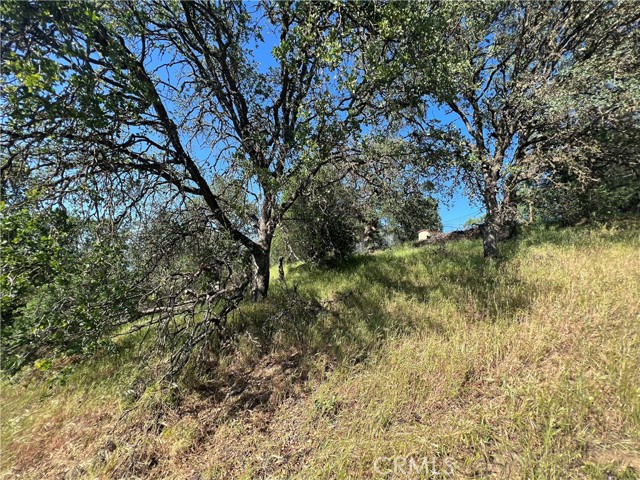 5597 Valley Vista, Kelseyville, CA, 95451 5597 Valley Vista, Kelseyville, CA, 95451