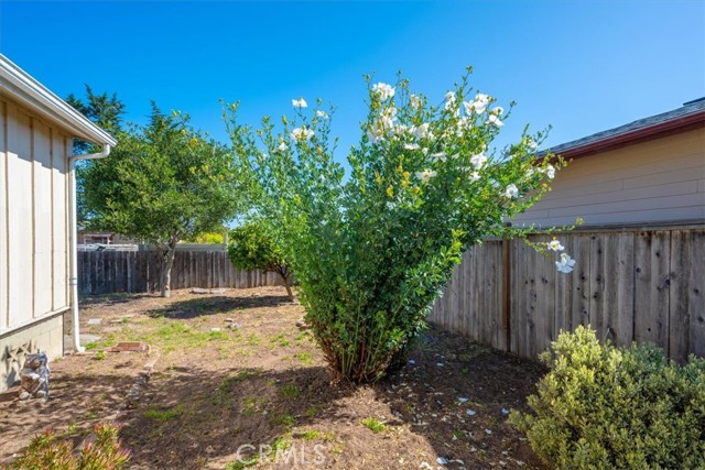 Detail Gallery Image 30 of 35 For 508 Woodland Drive, Los Osos,  CA 93402 - 3 Beds | 2 Baths