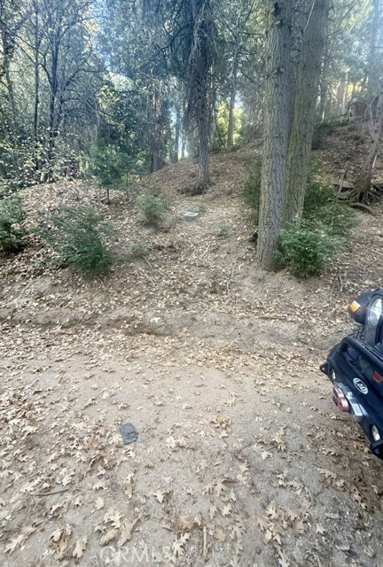 61 Lot - El Valle Road, Cedarpines Park CA: https://media.crmls.org/medias/73975d74-ac4f-45bd-9e5d-3bf105eecfd6.jpg