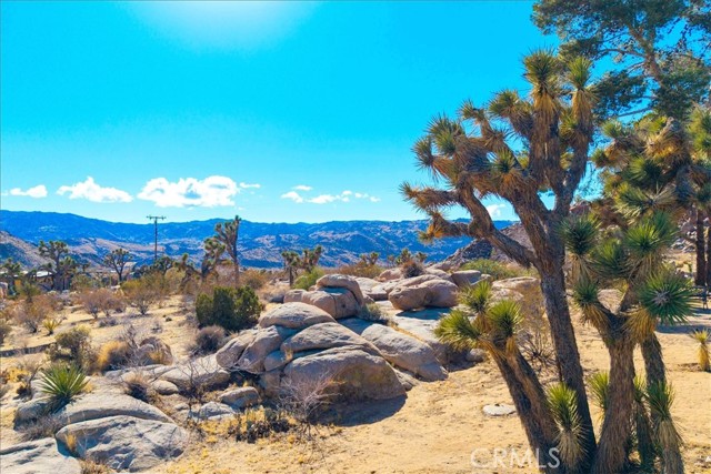 8427 Rock Haven Road, Joshua Tree CA: https://media.crmls.org/medias/73997d64-cc64-4cb7-a9a8-30521e78ae38.jpg