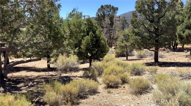 0 SERPENTINE Drive, Big Bear City, California 92314, ,Land,For Sale,0 SERPENTINE Drive,CREV23167110