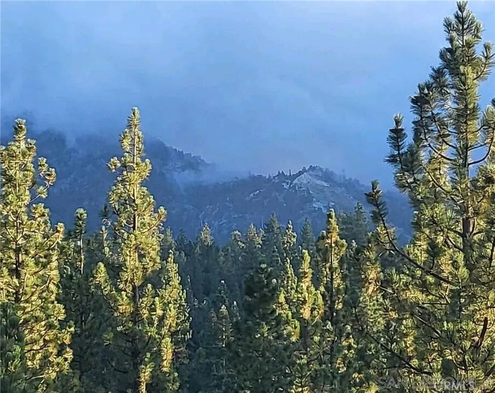 https://media.crmls.org/medias/73a5e59b-2216-49bd-9139-30e2bf661859.jpg?preset=X-Large