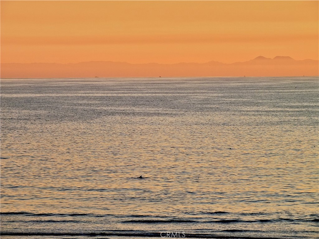 https://media.crmls.org/medias/73a62503-b86c-4f48-b110-c049cd35fd5d.jpg?preset=X-Large