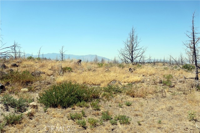 Detail Gallery Image 12 of 15 For 0 Juniper Valley Dr, Weed,  CA 96094 - – Beds | – Baths