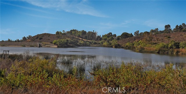 Detail Gallery Image 57 of 70 For 227 S Calle Grande, Orange,  CA 92869 - 3 Beds | 2 Baths