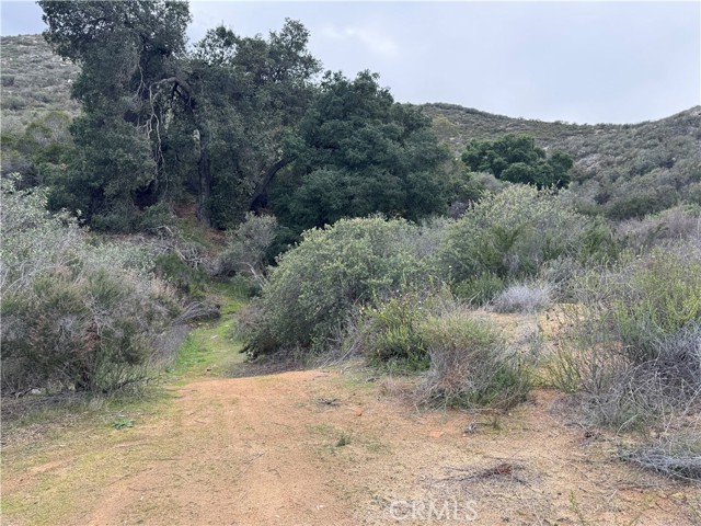 25 Orange, Menifee, California 92584, ,Land,For Sale,25 Orange,CRSW24029221