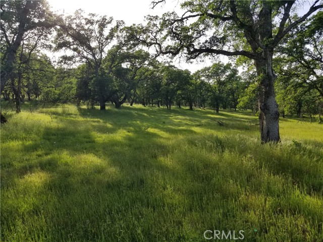 0 Whitney Court, Oroville, California 95966, ,Land,For Sale,0 Whitney Court,CROR21163755