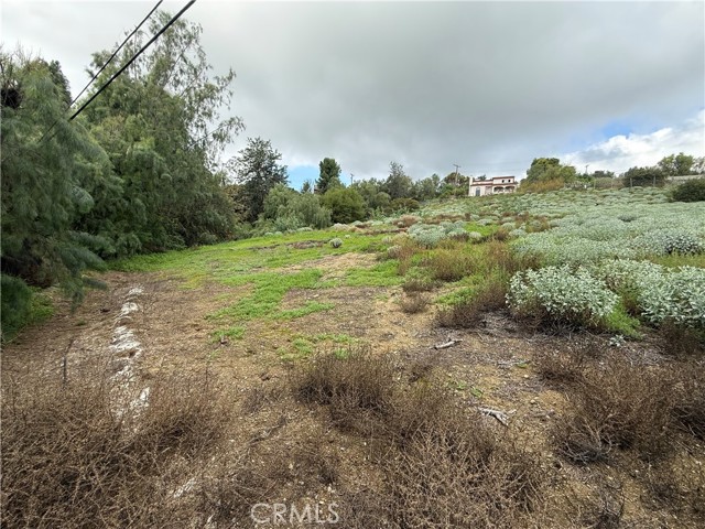 Detail Gallery Image 6 of 6 For 707 Dorothea, La Habra Heights,  CA 90631 - – Beds | – Baths