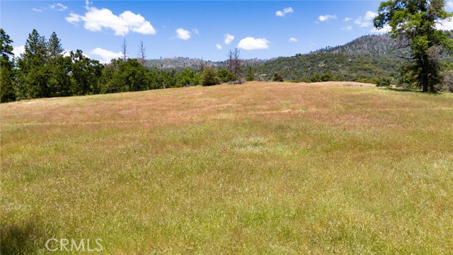 Detail Gallery Image 7 of 74 For 3122 Triangle Park Rd, Mariposa,  CA 95338 - 2 Beds | 1 Baths