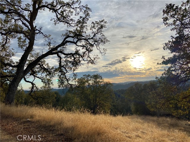 Detail Gallery Image 4 of 32 For 4764 4766 Hirsch Rd, Mariposa,  CA 95338 - – Beds | – Baths