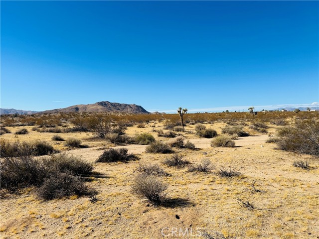 Detail Gallery Image 2 of 11 For 24 Avenida Del Sol, Joshua Tree,  CA 92252 - – Beds | – Baths