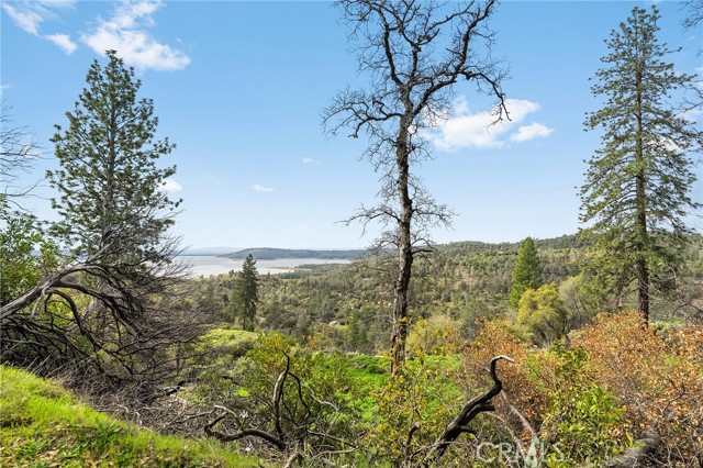 Detail Gallery Image 33 of 57 For 0 Canyon Creek Rd, Berry Creek,  CA 95916 - 1 Beds | 1 Baths